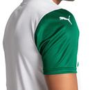 Camisa Palmeiras JOGADOR 25/26 Away